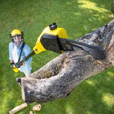 Best Emergency Tree Removal  in Keizer, OR